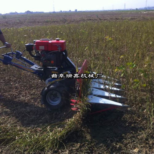 土默特左旗農機新寵 玉米播種施肥機與手扶拖拉機割捆機的協(xié)同作業(yè)