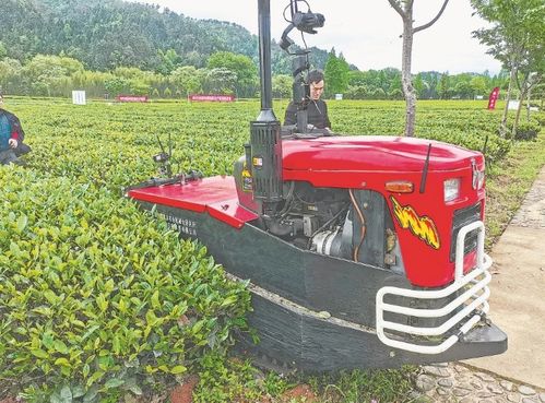 茶葉機械化與施肥機械的協(xié)同發(fā)展